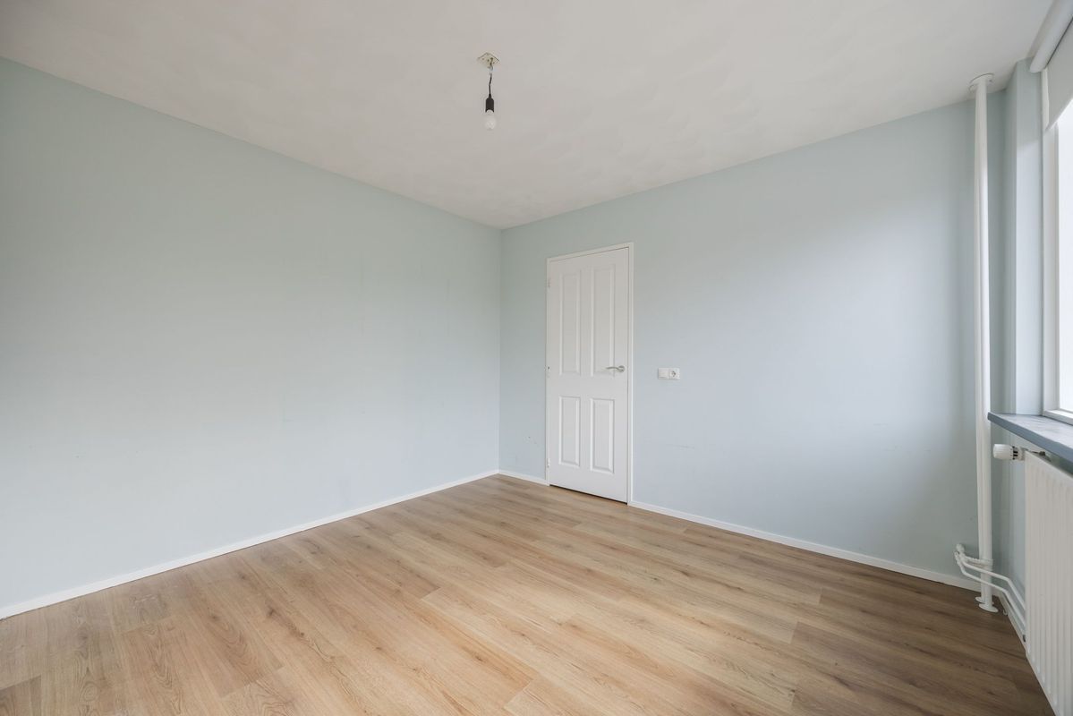 Violethof 6 Photo Blur 16