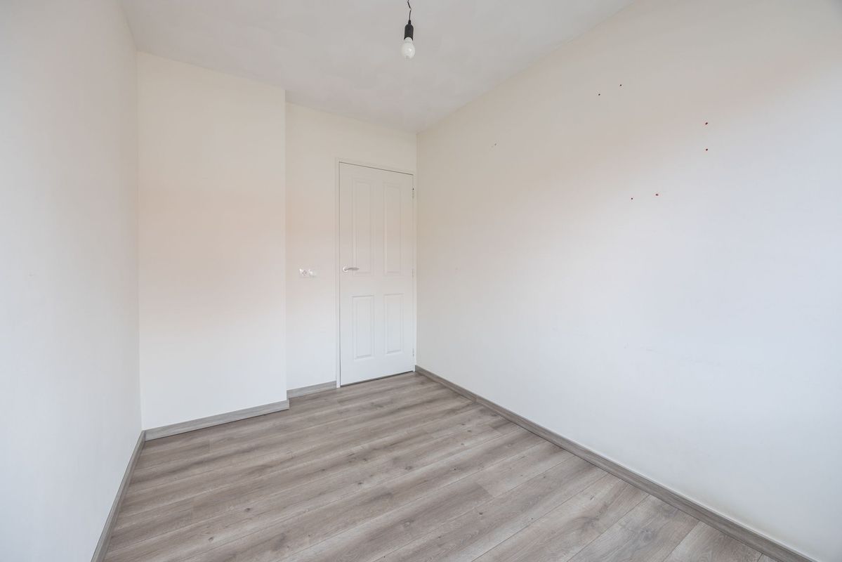 Violethof 6 Photo Blur 23