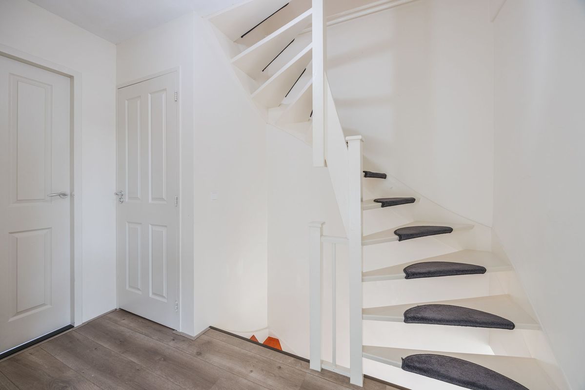 Violethof 6 Photo Blur 25