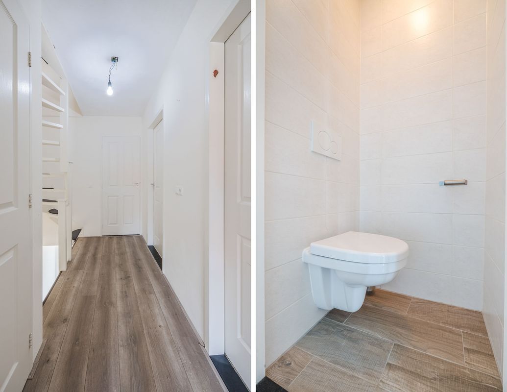 Violethof 6 Photo Blur 24