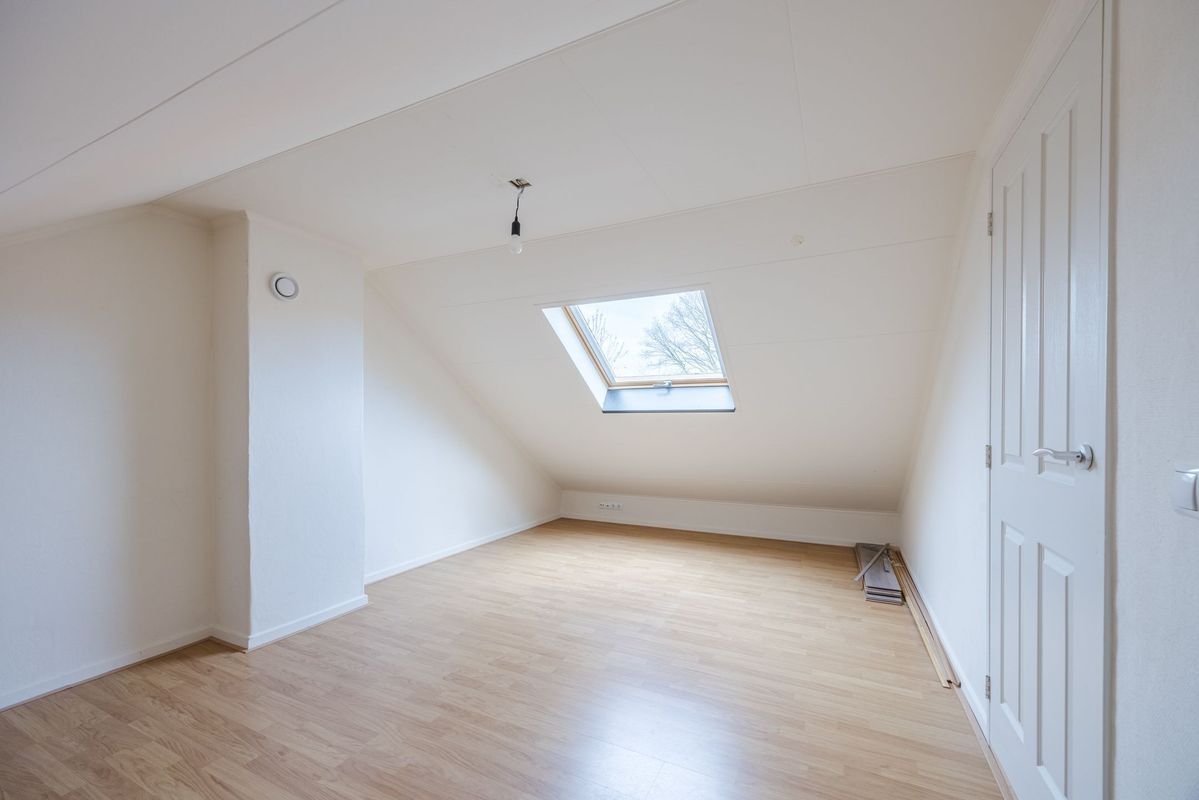 Violethof 6 Photo Blur 28