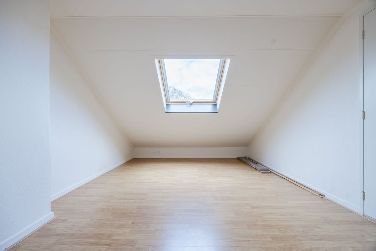 Violethof 6 Photo Blur 29