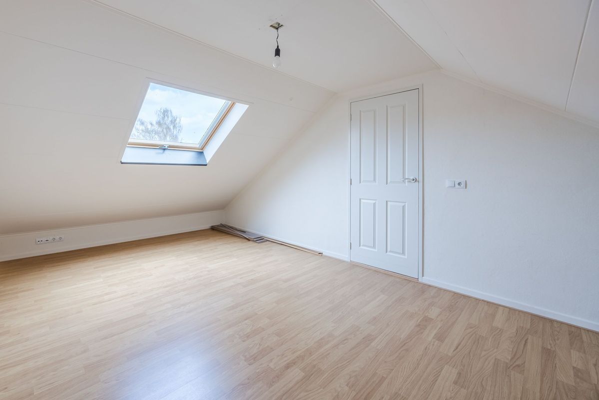 Violethof 6 Photo Blur 30