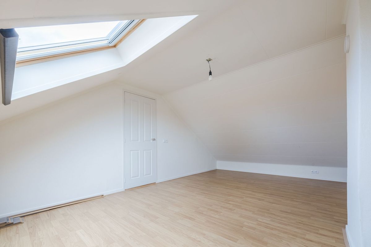 Violethof 6 Photo Blur 31