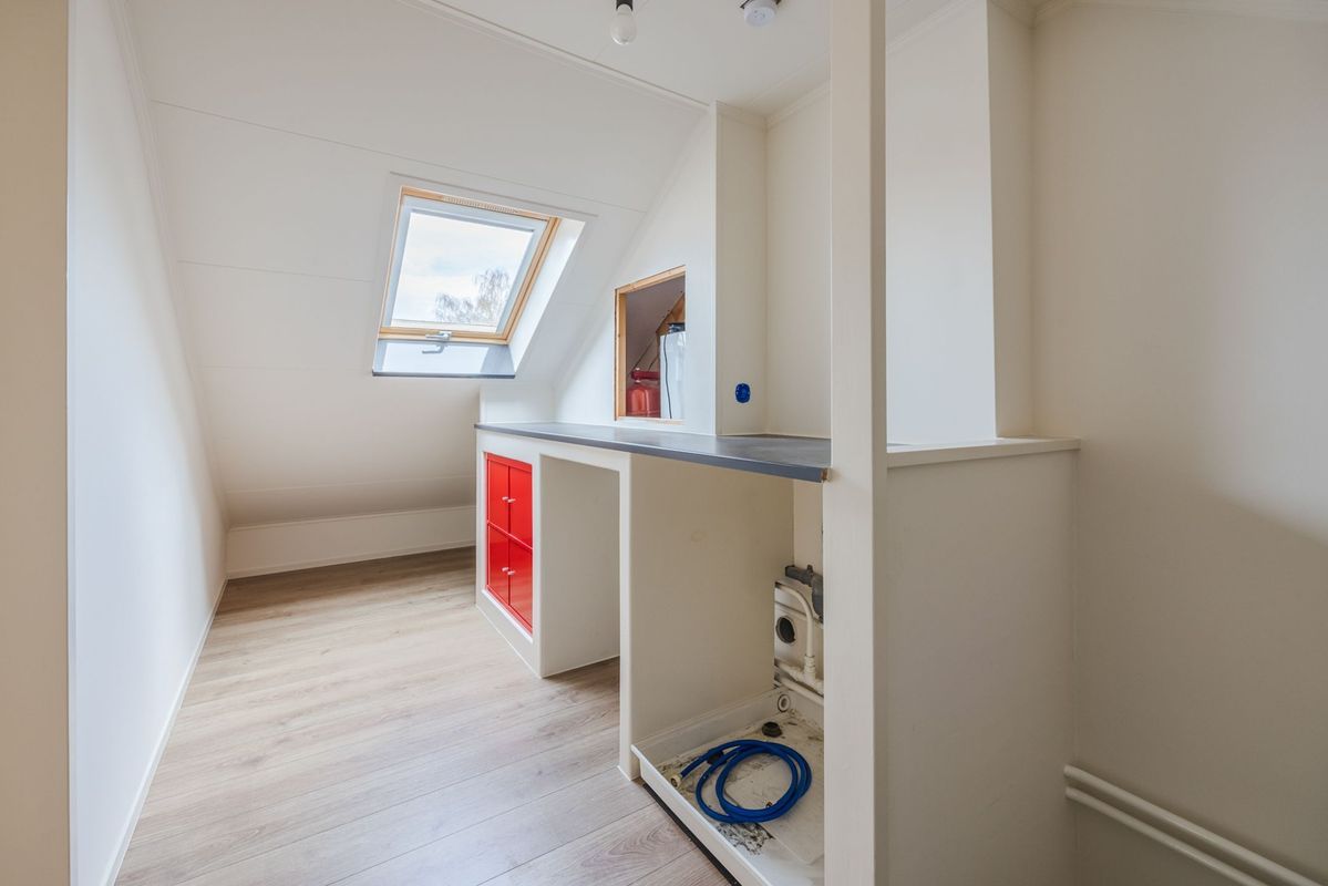 Violethof 6 Photo Blur 26