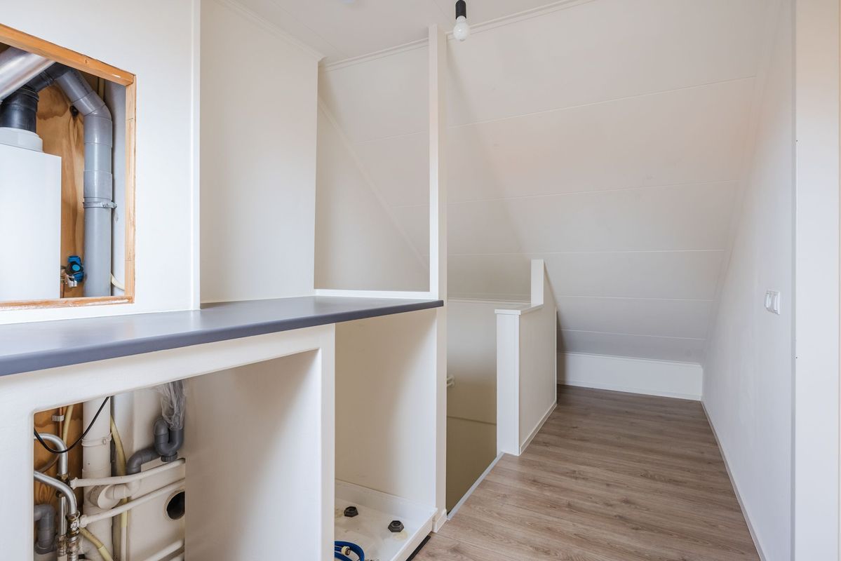 Violethof 6 Photo Blur 27