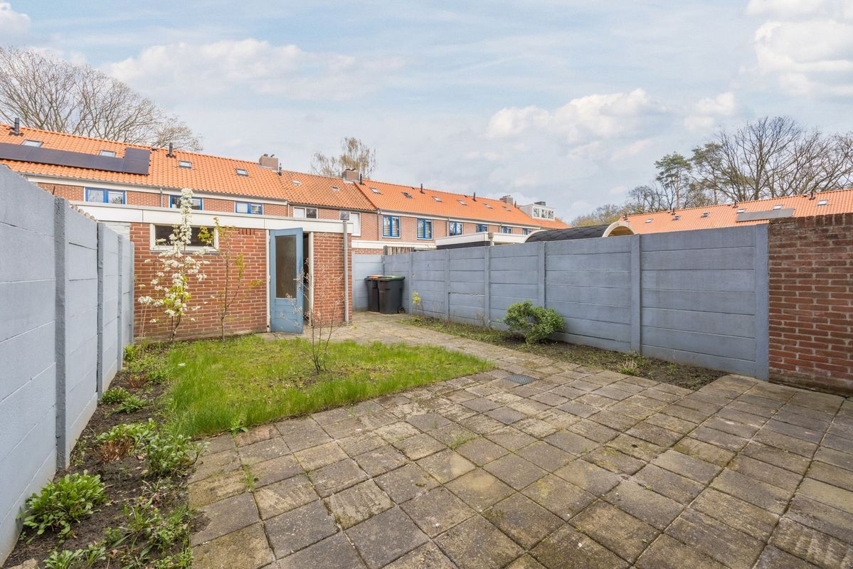 Violethof 6 Photo Blur 32