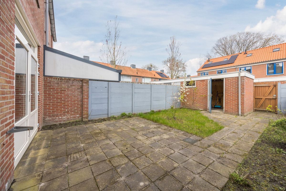 Violethof 6 Photo Blur 33