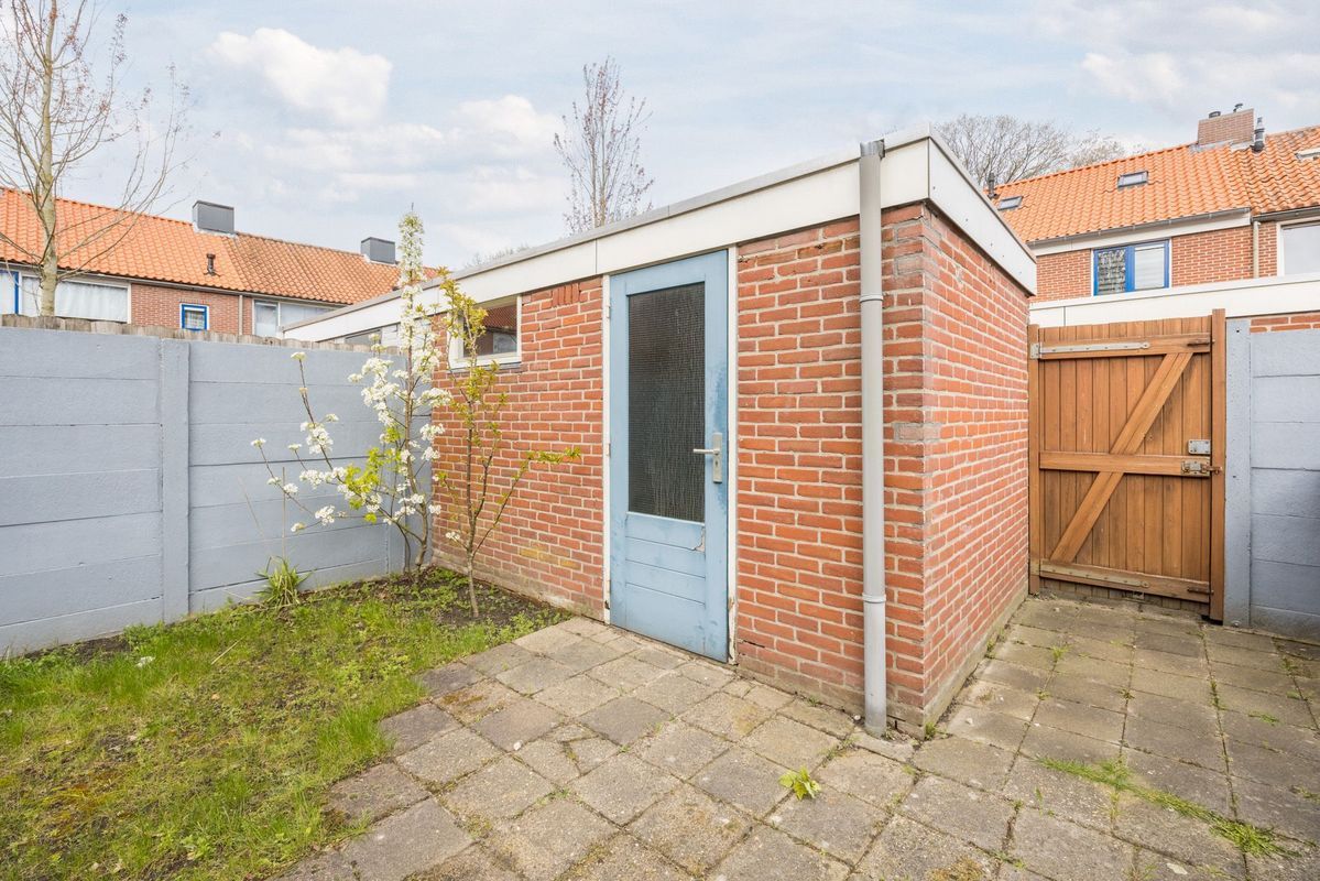 Violethof 6 Photo Blur 34