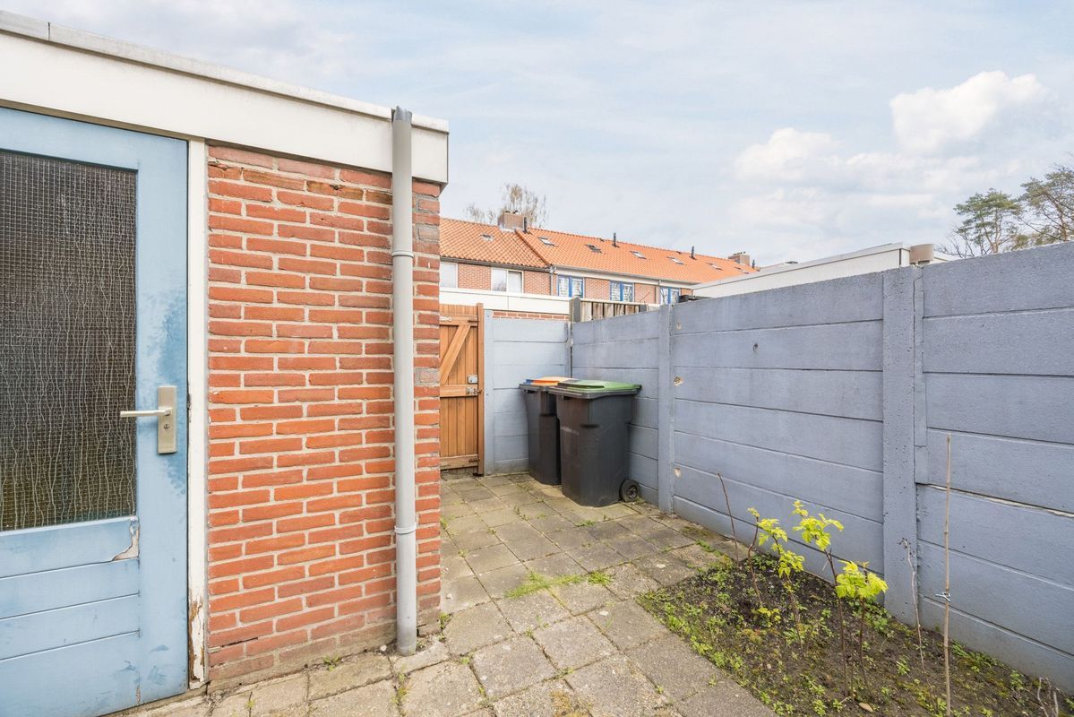 Violethof 6 Photo Blur 35