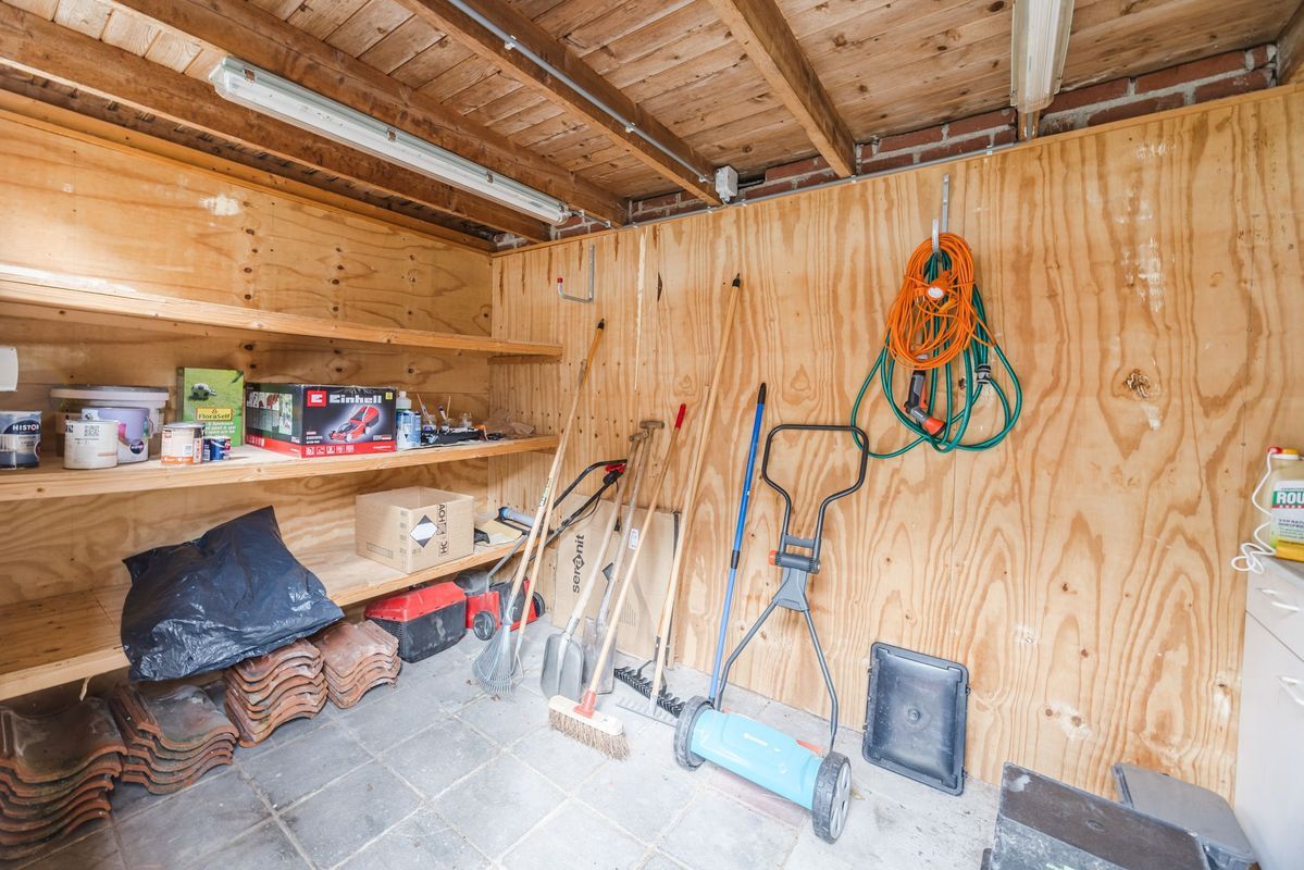 Violethof 6 Photo Blur 36