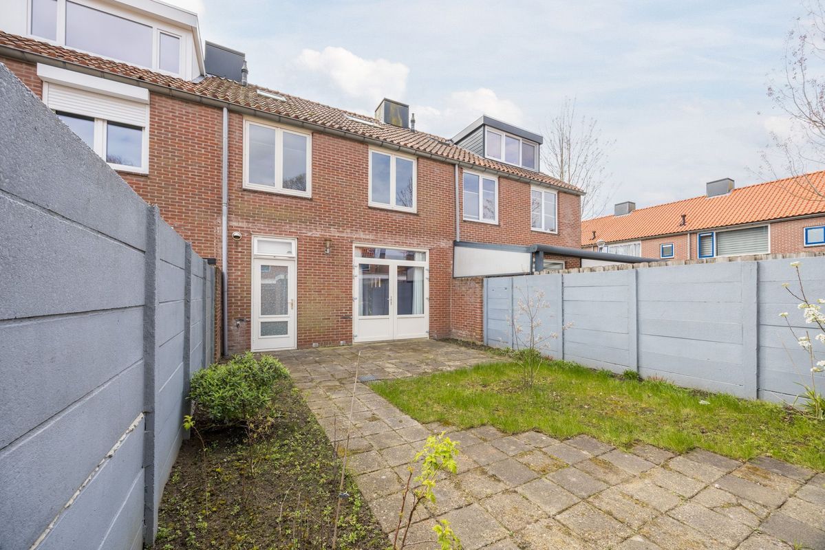 Violethof 6 Photo Blur 38