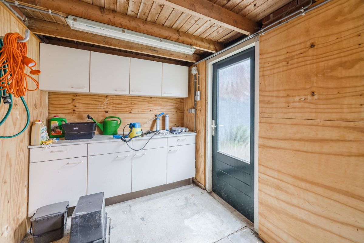 Violethof 6 Photo Blur 37