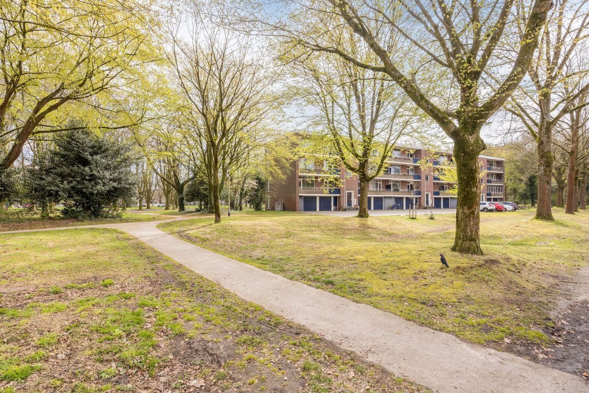 Violethof 6 Photo Blur 43