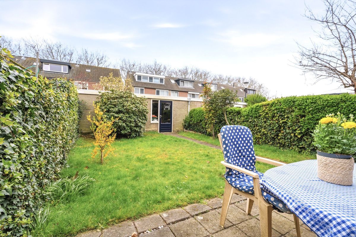 Willebroekstraat 38 Photo Blur 33