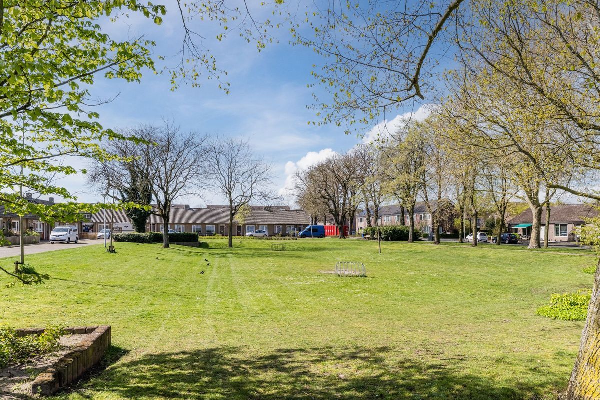 Rector Buijselstraat 3 Photo Blur 31