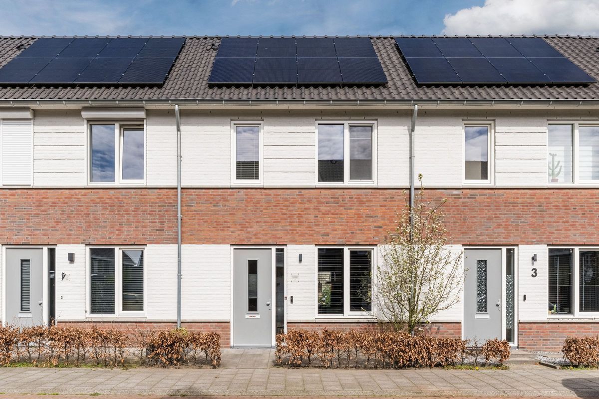 Koekoeksbloem 5 Photo Blur 0