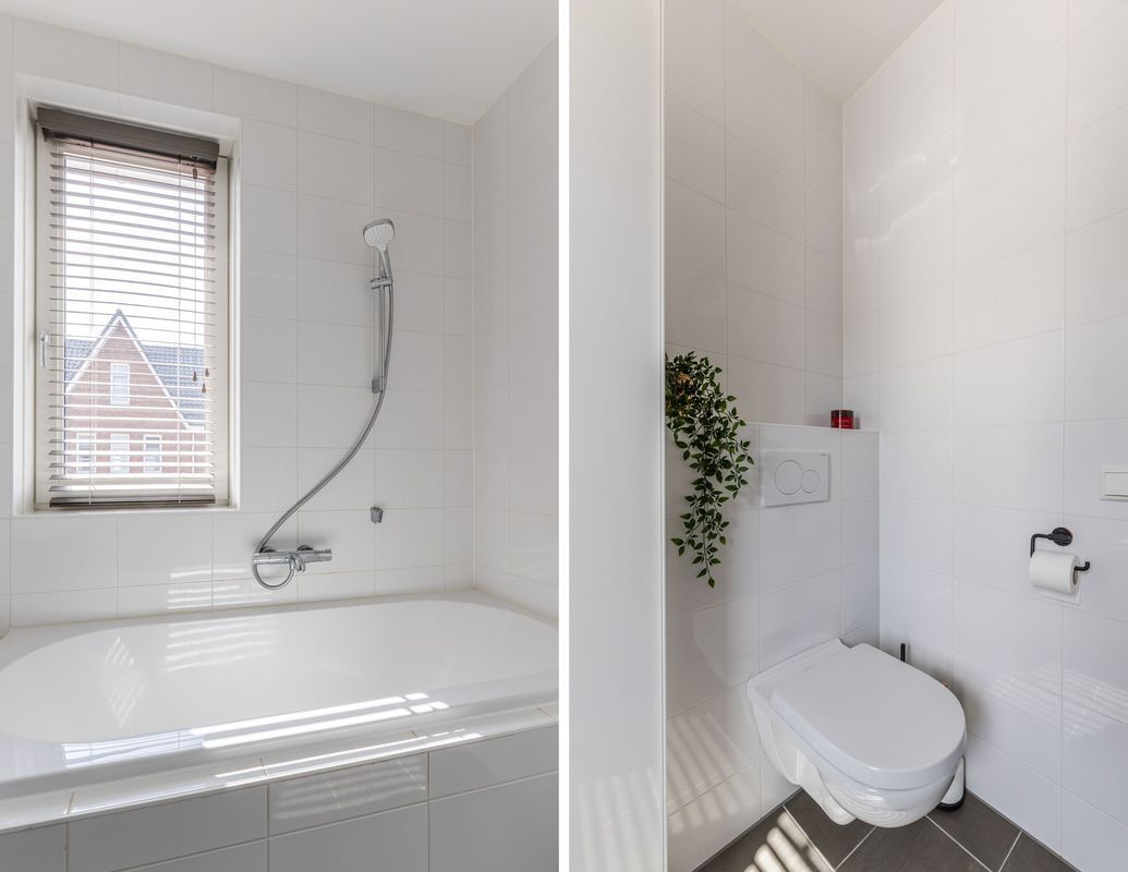 Koekoeksbloem 5 Photo Blur 37