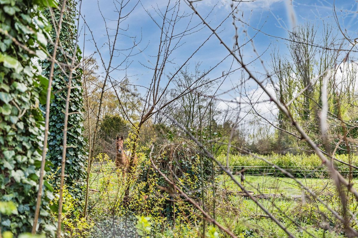 Beneluxlaan 11 Photo Blur 29