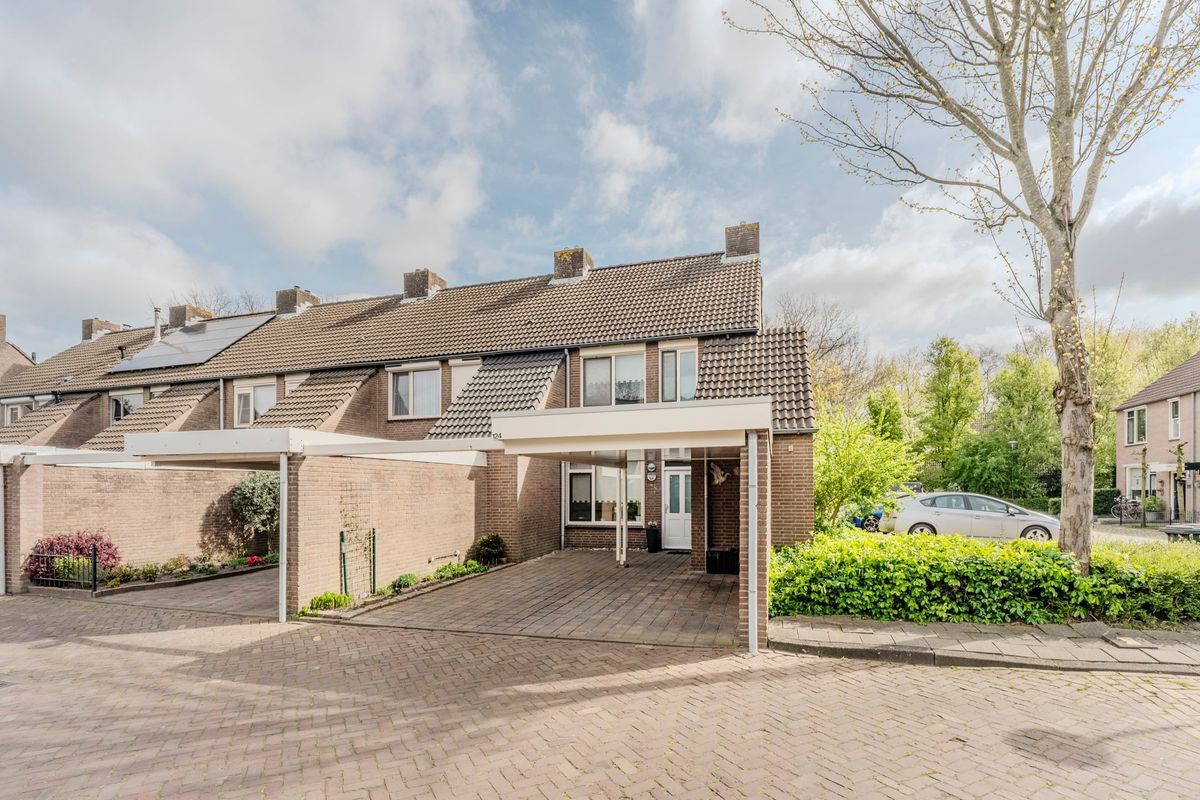 Schoorveken 124 Photo Blur 0