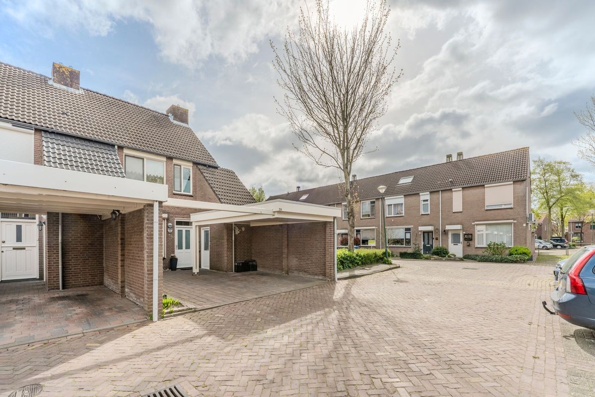 Schoorveken 124 Photo Blur 52