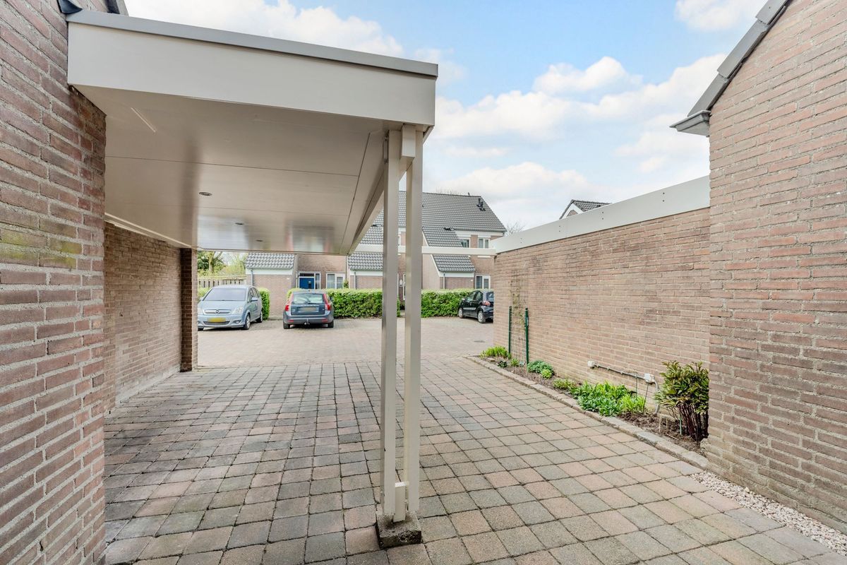 Schoorveken 124 Photo Blur 53