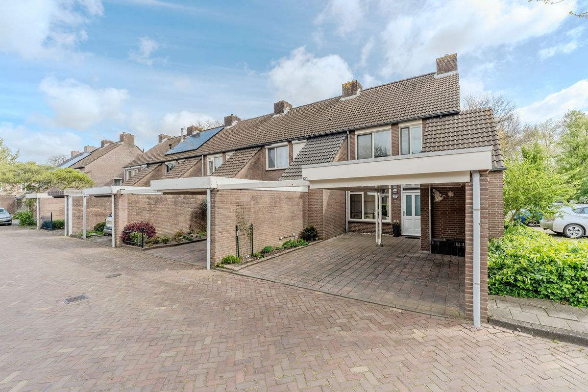 Schoorveken 124 Photo Blur 55