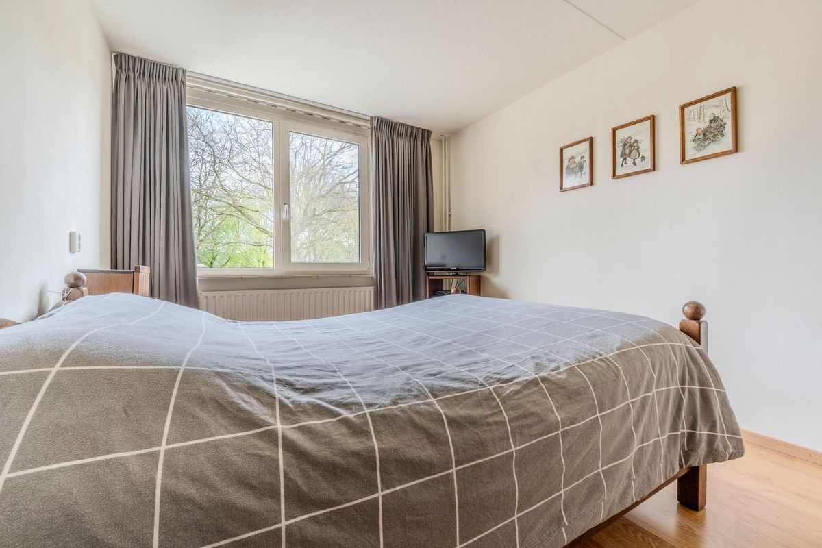 Schoorveken 124 Photo Blur 33