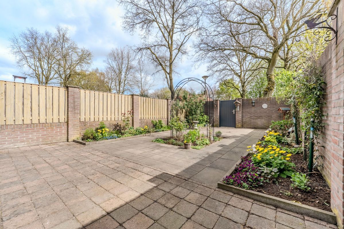 Schoorveken 124 Photo Blur 26