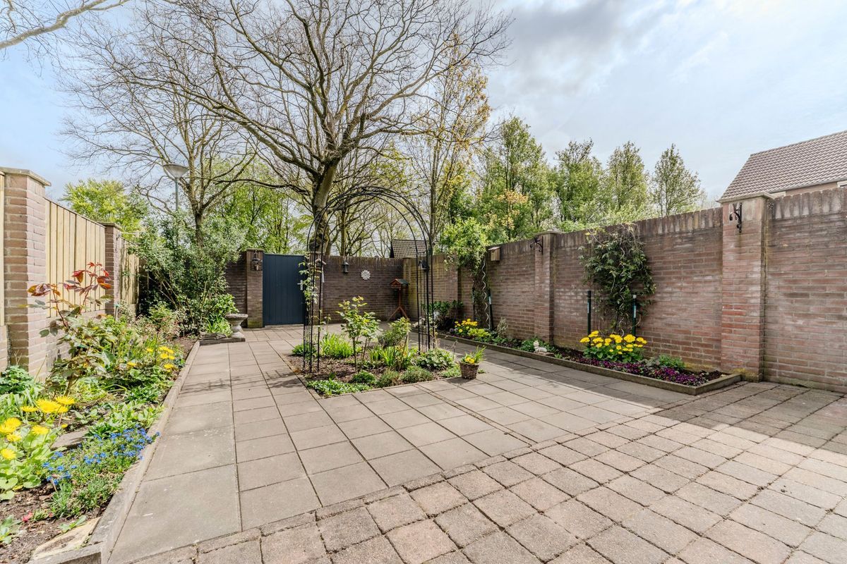 Schoorveken 124 Photo Blur 3