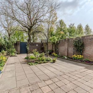 Schoorveken 124 Photo 4