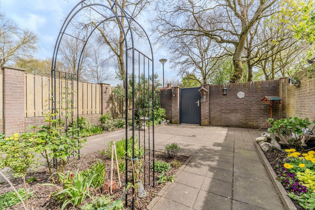 Schoorveken 124 Photo Blur 27