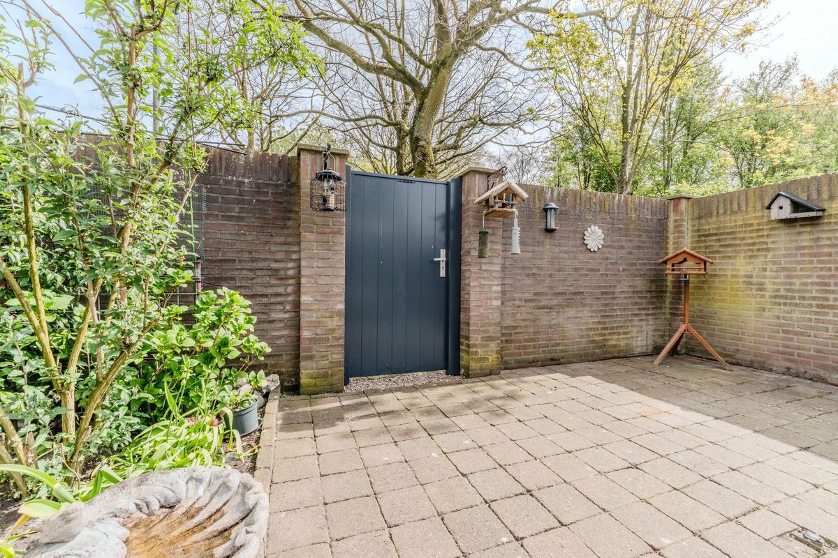 Schoorveken 124 Photo Blur 28