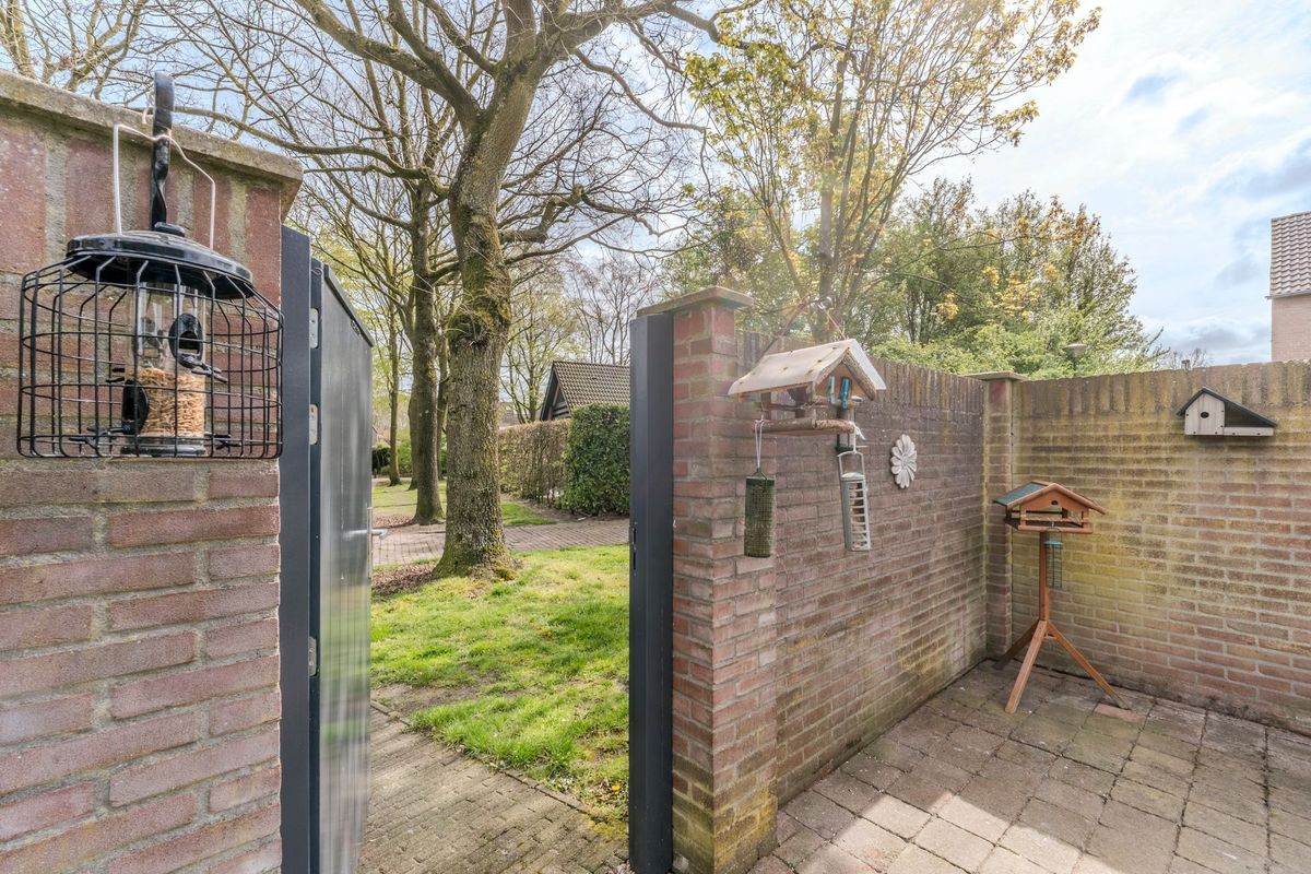 Schoorveken 124 Photo Blur 29