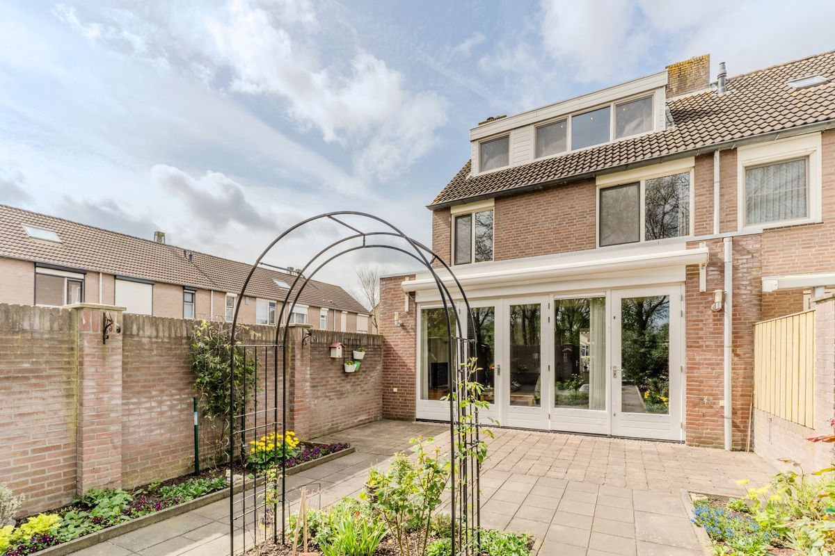 Schoorveken 124 Photo Blur 24