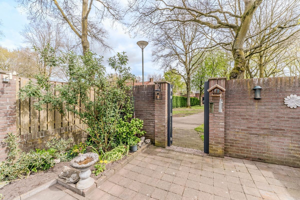 Schoorveken 124 Photo Blur 30