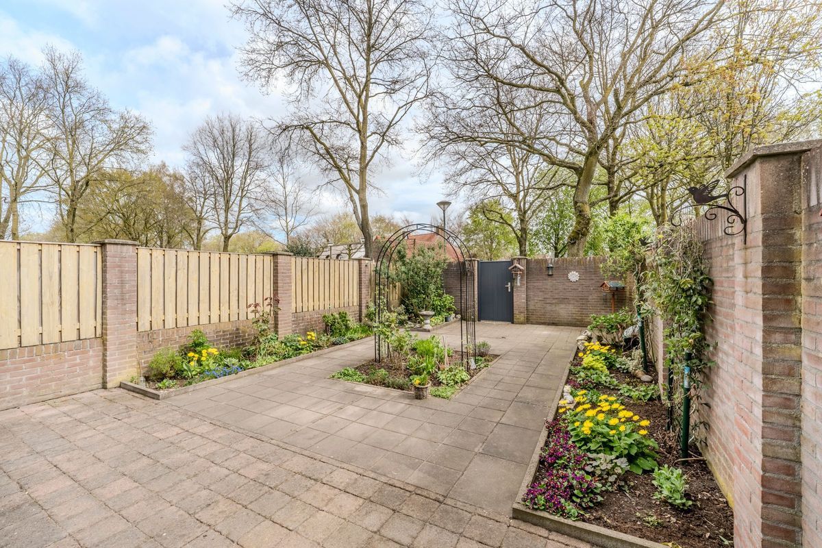 Schoorveken 124 Photo Blur 25