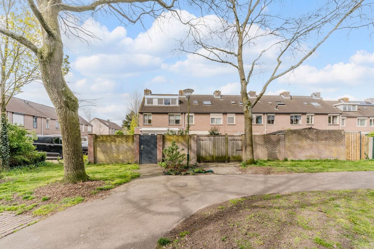 Schoorveken 124 Photo Blur 51