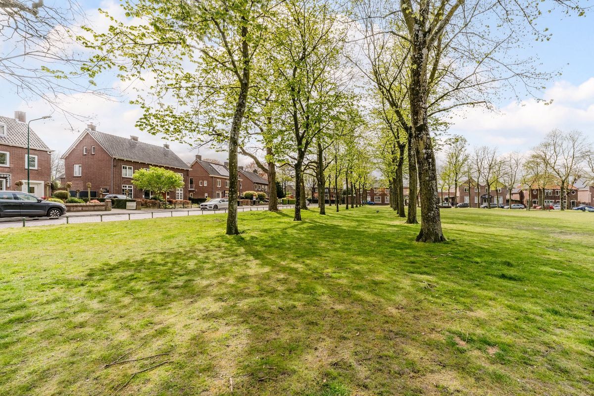 Schoorveken 124 Photo Blur 60