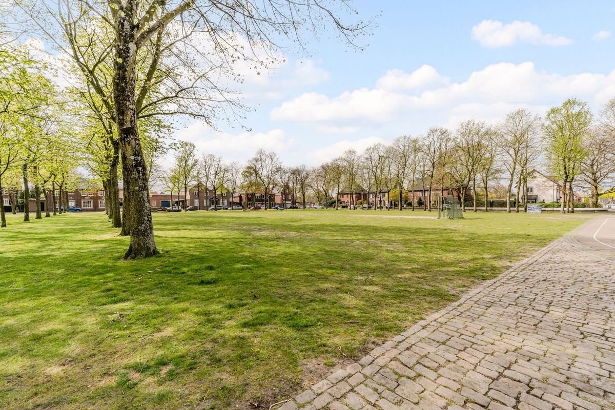 Schoorveken 124 Photo Blur 59