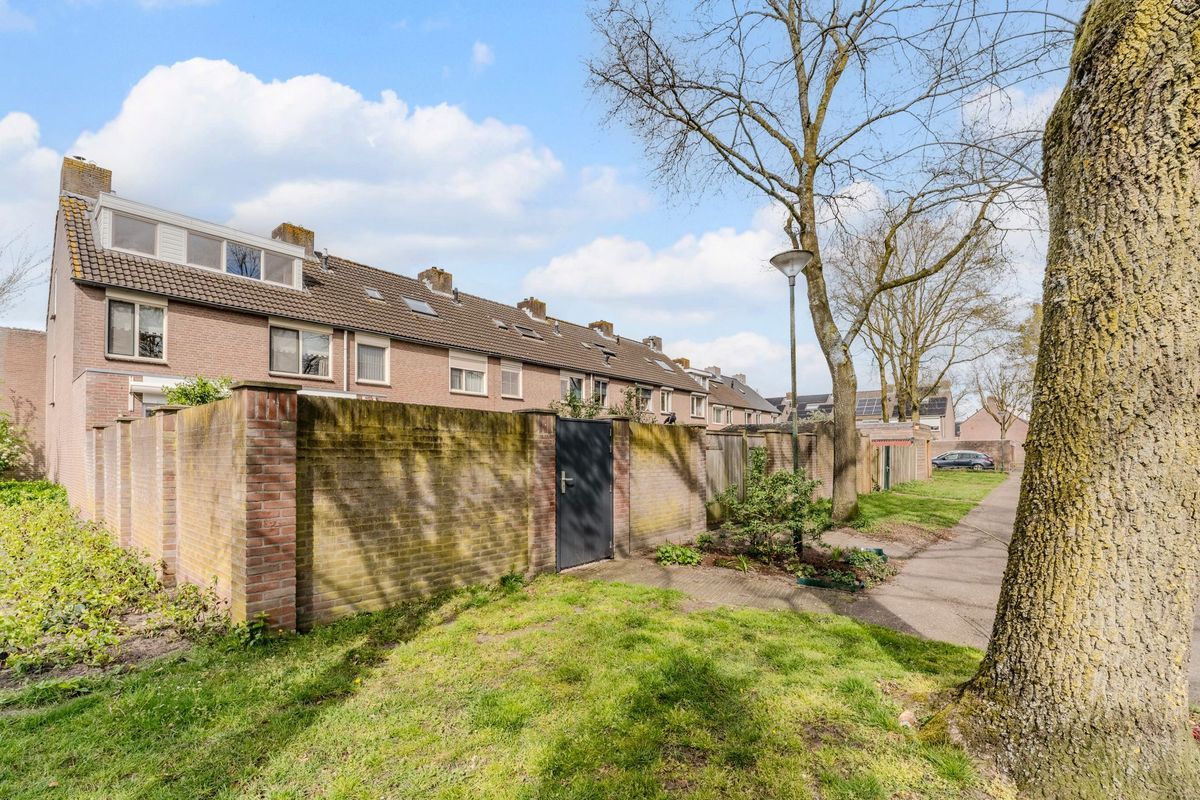 Schoorveken 124 Photo Blur 56