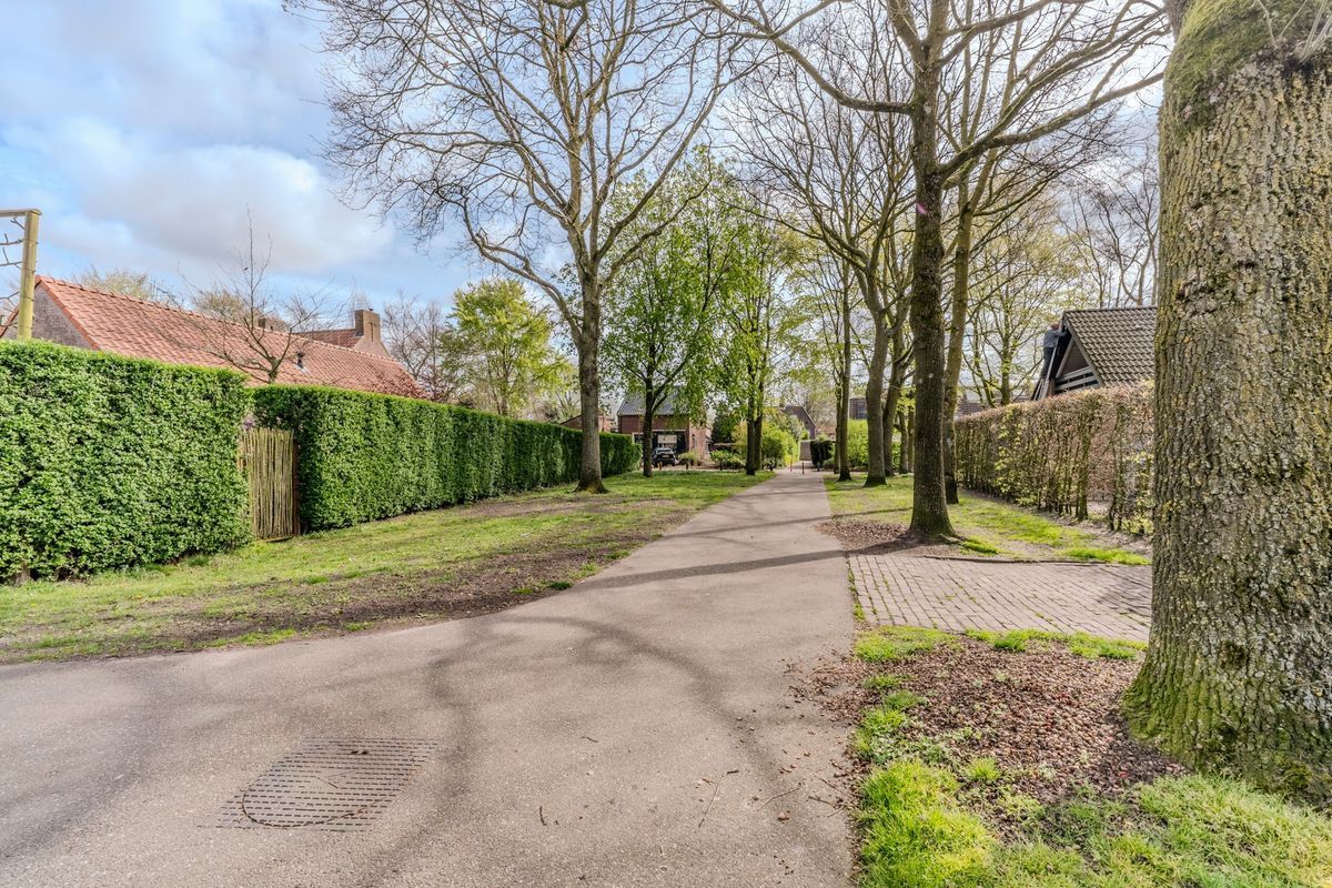 Schoorveken 124 Photo Blur 61