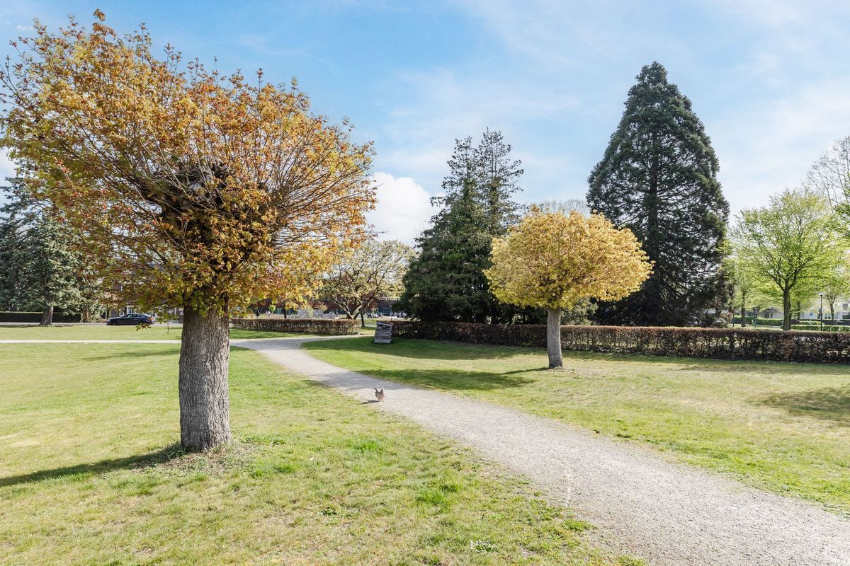 Min. Aalberselaan 2 Photo Blur 36