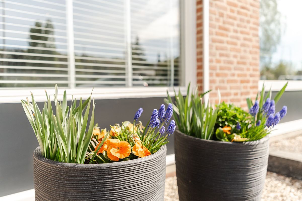 Deinumstraat 16 Photo Blur 45