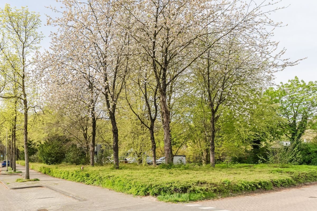 Deinumstraat 16 Photo Blur 53