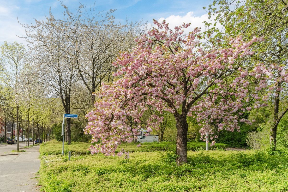 Deinumstraat 16 Photo Blur 52