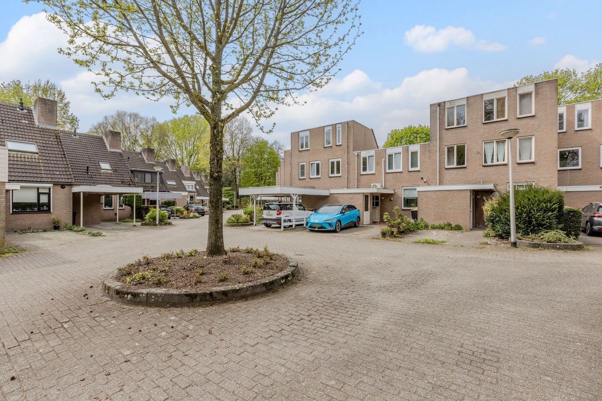 Mascagnihof 618 Photo Blur 35