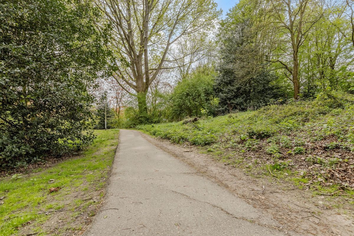 Mascagnihof 618 Photo Blur 32