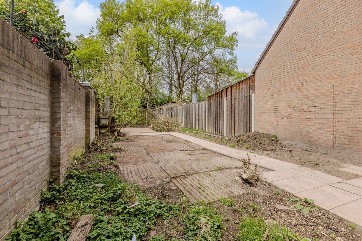 Mascagnihof 618 Photo Blur 31