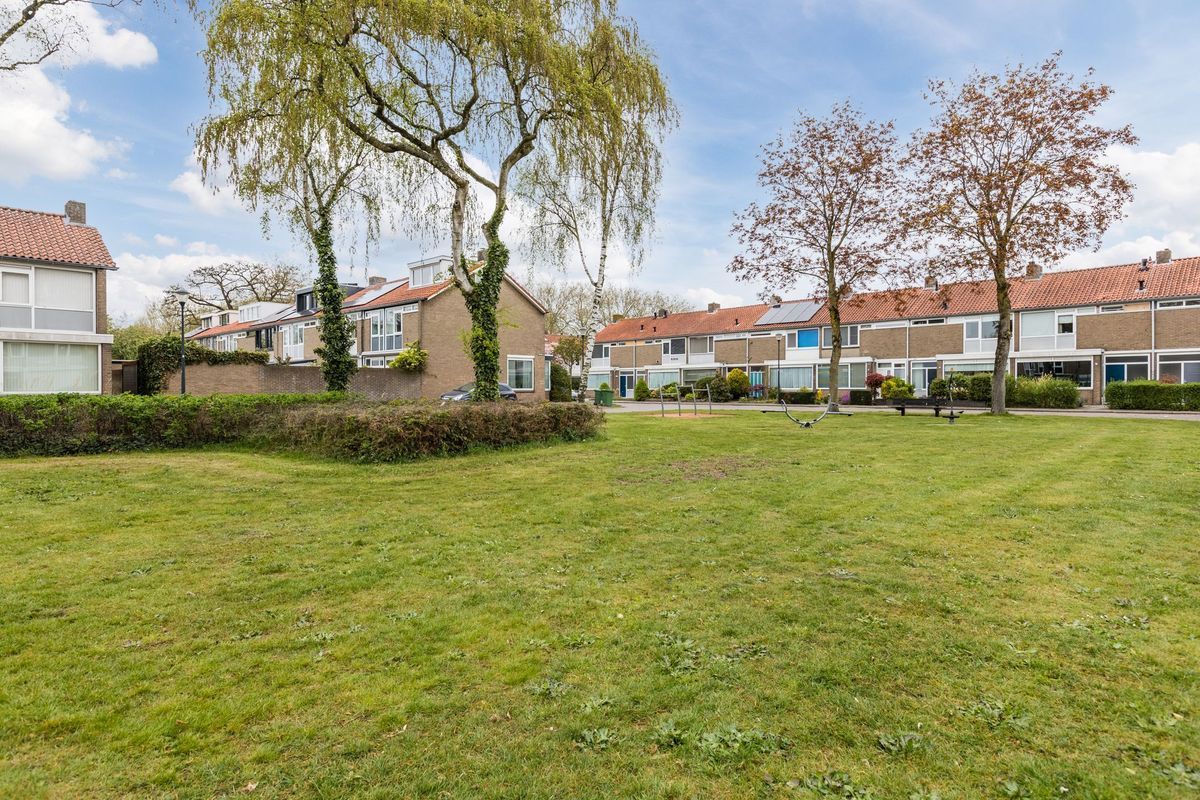 Bijvang 14 Photo Blur 41